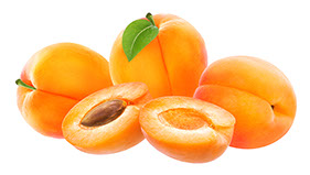 Century Farms Apricots