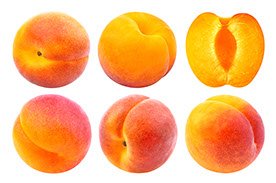 Century Farms Apricots