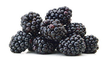 Blackberries