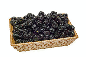 Blackberries