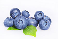 Century Farms Blueberries