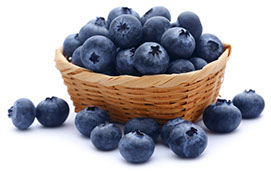 Century Farms Blueberries