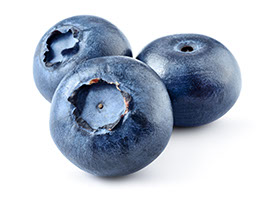 Century Farms Blueberries