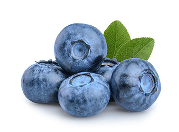 Century Farms Blueberries