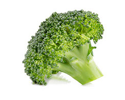 Century Farms Broccoli