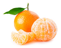 Century Farms' Clementine