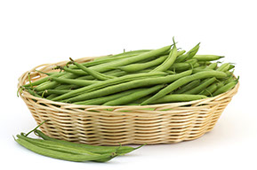 Century Farms French Beans