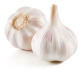 Garlic