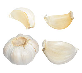 Garlic