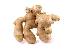 Century Farms' Ginger