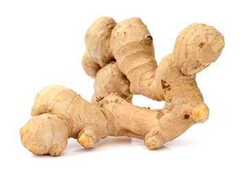 Century Farms' Ginger