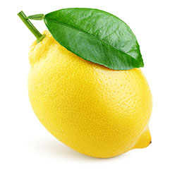 Century Farms Lemons