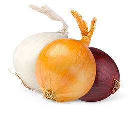 Century Farms Mixed Onions