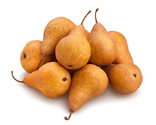 Century Farms Bosc Pears