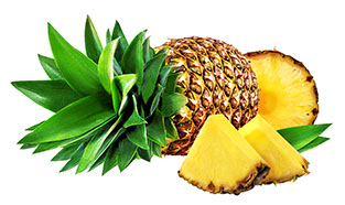 Century Farms Pineapples