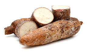 Century Farms' Yucca Root