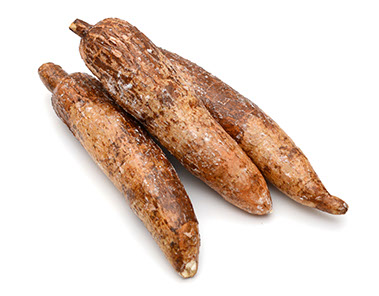 Century Farms' Yucca Root